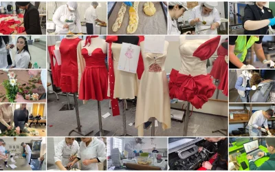 The Grantees successfully organized school and regional skills competitions in 15 vocational profiles